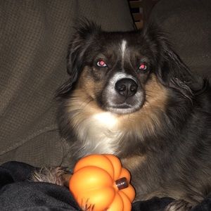 Meet your Posher, Madi